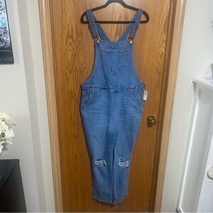 Distressed Jean Side-Zip Overalls for Women